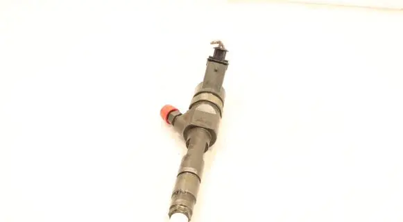 Renault Laguna II Fuel injector