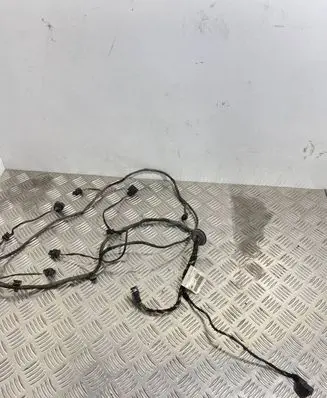 Audi Q5 SQ5 Parking sensor (PDC) wiring loom 8R0971104A