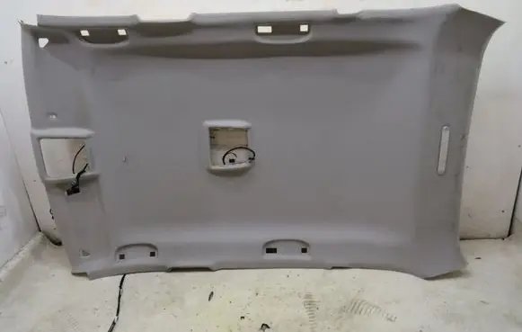BMW X1 E84 Headlining 0169368