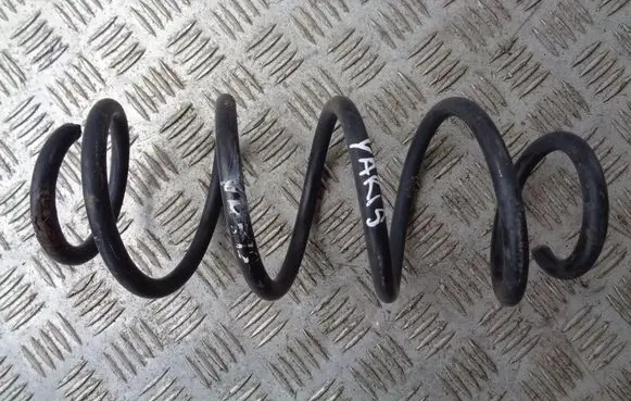 Rear coil spring