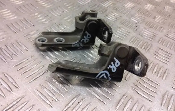 Mitsubishi Outlander Front door hinge set 