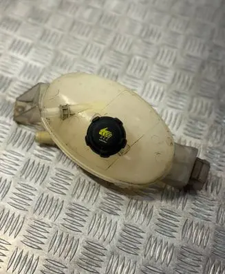 Renault Trafic II (X83) Coolant expansion tank/reservoir 217100015R