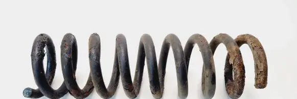 Mercedes-Benz C W203 Rear coil spring
