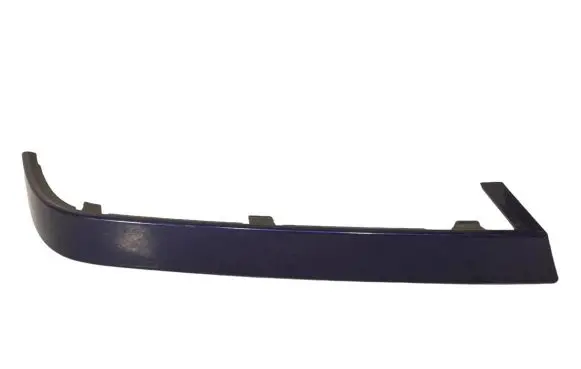 Rear/tail light trim molding