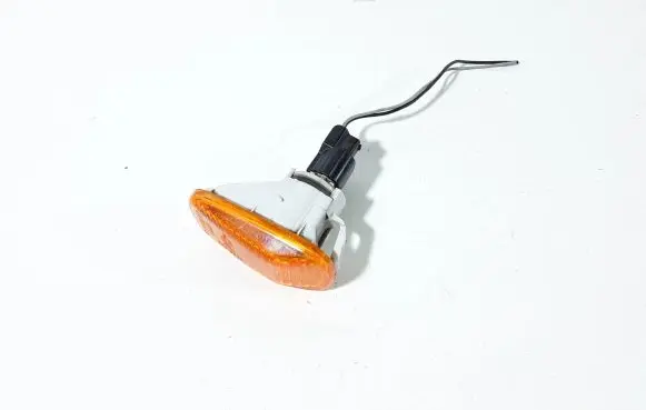 Front fender indicator light