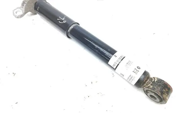 Rear shock absorber/damper