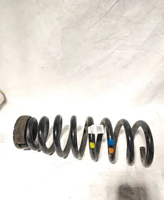 Rear coil spring