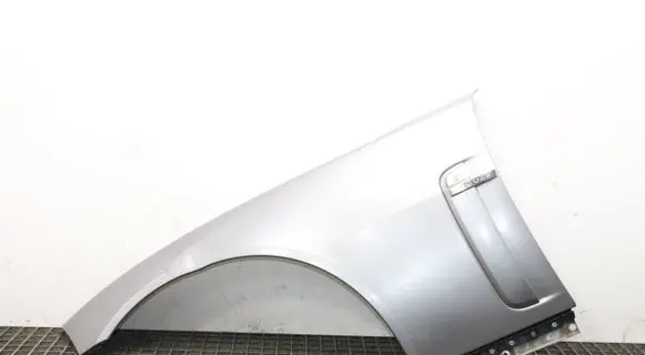 Jaguar XK - XKR Fender LUNARGREYJBC2028