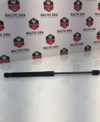 Tailgate strut