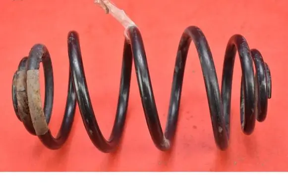 Rear coil spring
