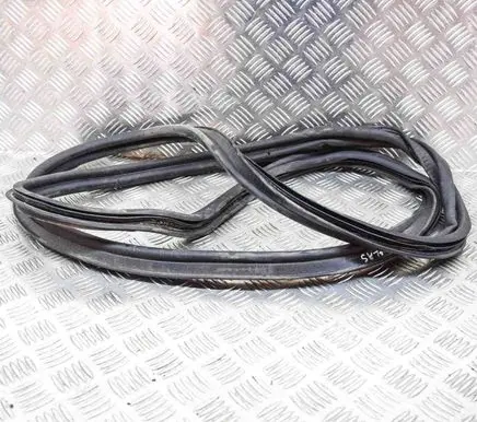 Renault Zoe Trunk rubber seal (body) 