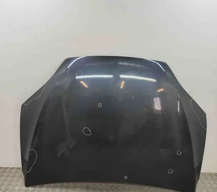 Engine bonnet/hood