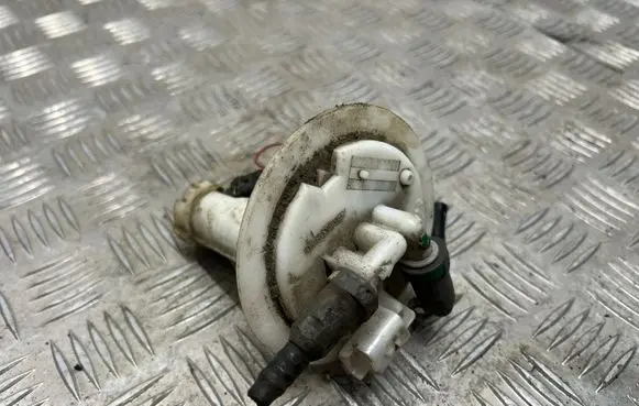 Peugeot 807 In-tank fuel pump 09731009900