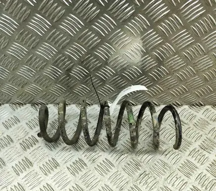 Nissan Qashqai Rear coil spring 550204EA0B