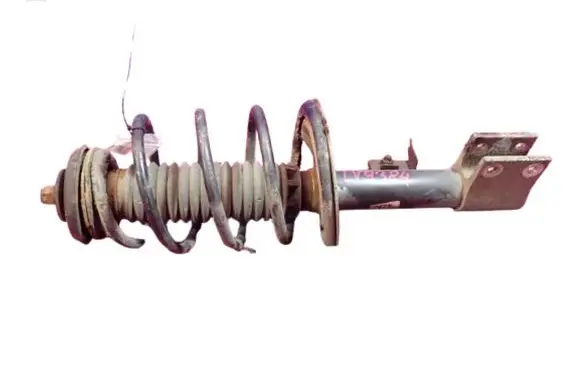 Peugeot 307 Front shock absorber with coil spring