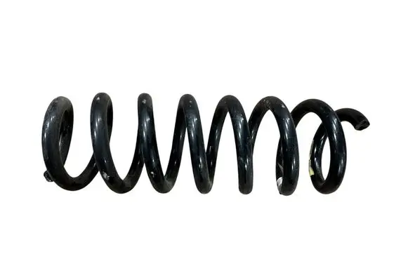 Rear coil spring