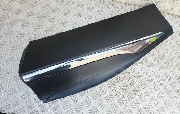 Rear door trim (molding)