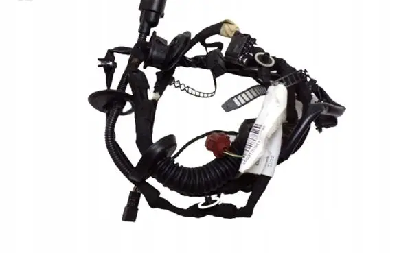 Audi A8 S8 D3 4E Front door wiring loom 4E0971030BH