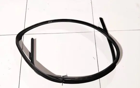 Ford Focus Rubber seal front coupe door 