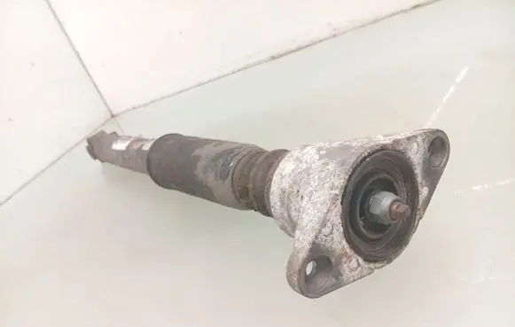 Seat Exeo (3R) Rear shock absorber/damper 3R0513036