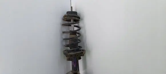 Fiat Stilo Front shock absorber with coil spring