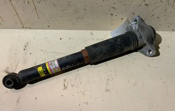 Toyota RAV 4 (XA50) Rear shock absorber/damper 4853042130