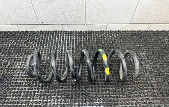 Rear coil spring