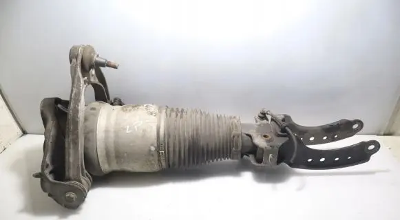 Porsche Cayenne (9PA) Front shock absorber/damper