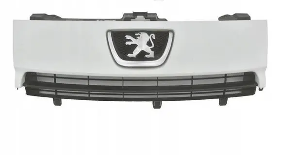 Peugeot Expert Front grill 