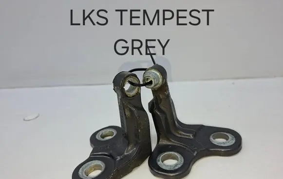 Jaguar XE Rear door hinge set 