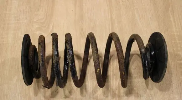 Rear coil spring