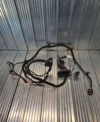 Tesla Model 3 Rear door wiring loom 206796500A YZK182701