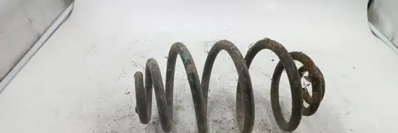 Volkswagen PASSAT B5 Rear coil spring