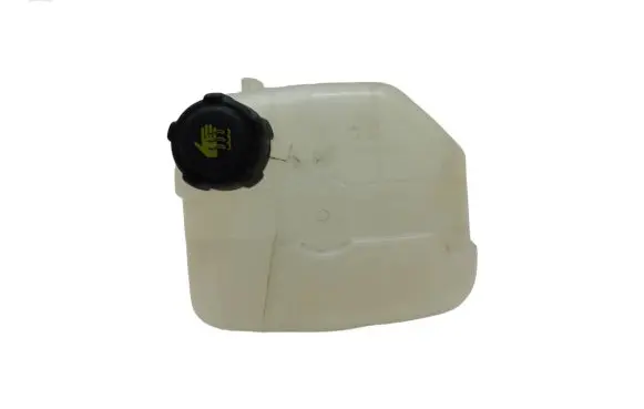 Renault Kangoo II Coolant expansion tank/reservoir 272687341R