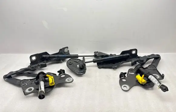 BMW X5 G05 Engine bonnet/hood hinges 7418202 7418201