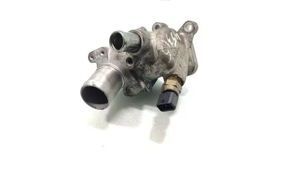 Thermostat/thermostat housing