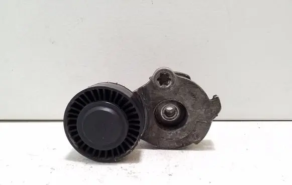 Porsche Cayenne (92A) Generator/alternator belt tensioner f607210