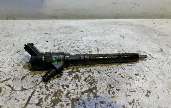 KIA Carens I Fuel injector 0445110064