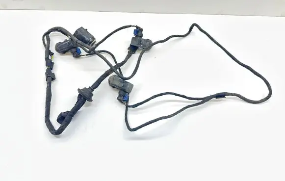 Mercedes-Benz CLS C219 Parking sensor (PDC) wiring loom A2195404605