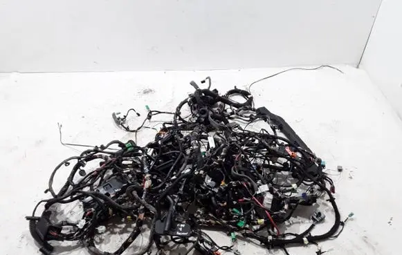 Volvo S90, V90 Other wiring loom 31481620