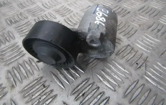 Dacia Duster Generator/alternator belt tensioner