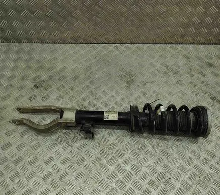 BMW iX Front shock absorber/damper 6891993
