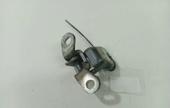 Skoda Roomster (5J) Rear door lower hinge 
