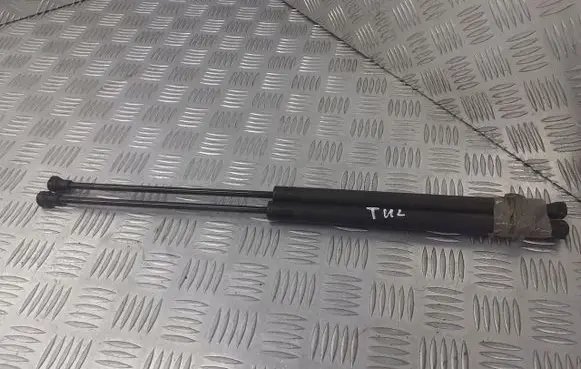 Peugeot 206+ Tailgate hydraulic set 9631441380