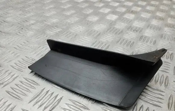 Rear/tail light trim molding