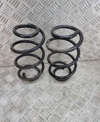 Rear coil spring