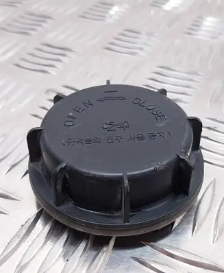 KIA Sorento Headlight/headlamp dust cover