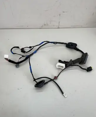 Hyundai Santa Fe Front door wiring loom 916102B170