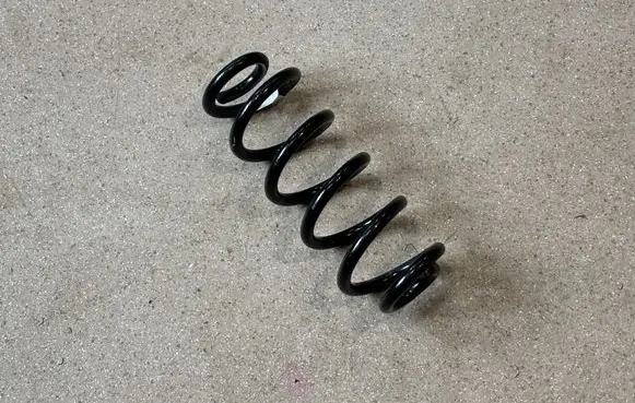 Rear coil spring