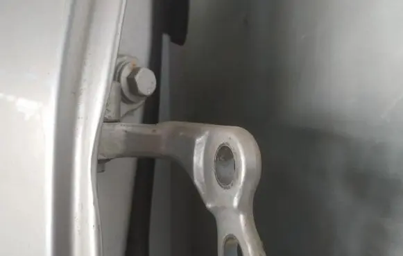 Ford Focus C-MAX Rear door lower hinge